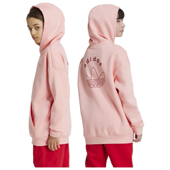 Adidas Παιδικό φούτερ Graphic Hoodie Kinds